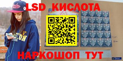 бошки Сланцы